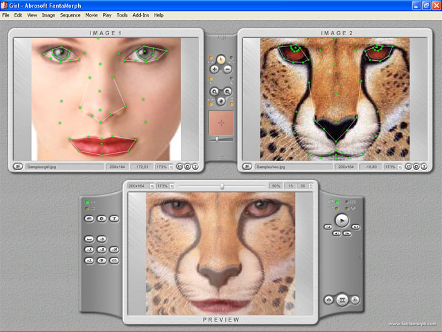 Abrosoft FantaMorph Pro screenshot