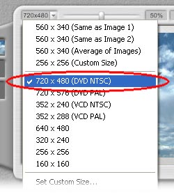 Choose DVD Size