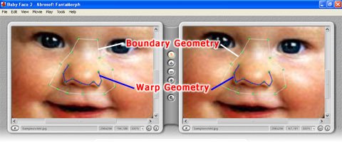 Boundary Dots